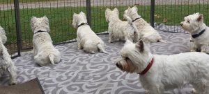 Heart to heart: cardiologist discovers locum tenens is key to work/life balance